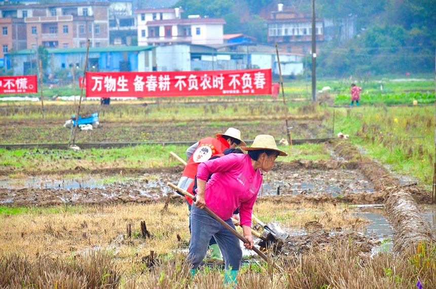 
广州中医院黄牛代挂号电话票贩子号贩子网上预约挂号,住院检查加快,又是一年春耕忙 粮食“稳产增收”有了新盼头