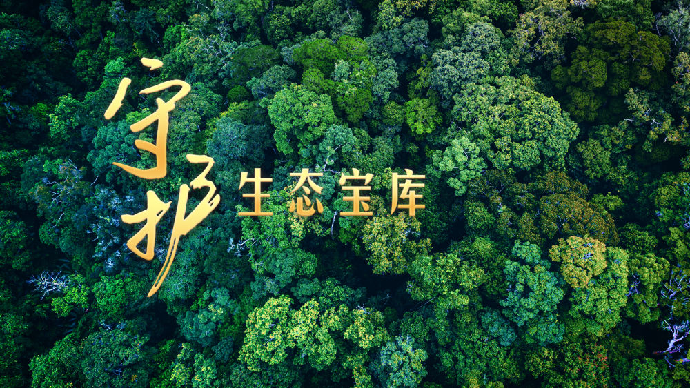 
北京儿研所黄牛代挂号电话票贩子号贩子网上预约挂号,住院检查加快,微视频｜守护生态宝库