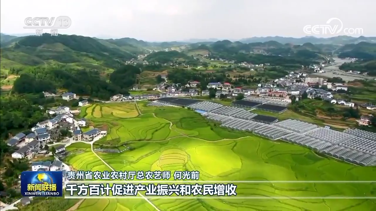 
首都医科大学附属北京中医院黄牛代挂号电话票贩子号贩子网上预约挂号,住院检查加快,【开好局 起好步】贵州：赋能产业 推动高质量发展