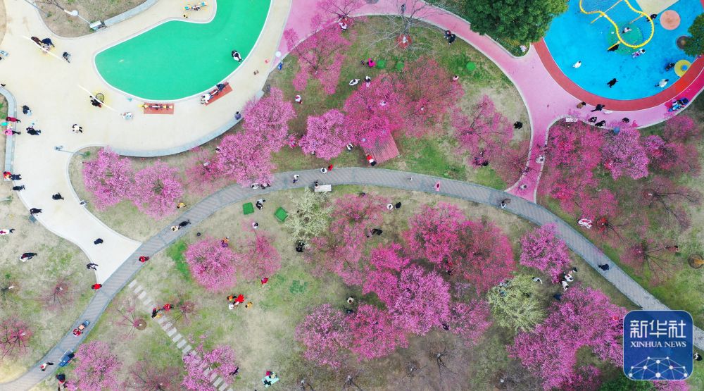 
杭州各大医院黄牛代挂号电话票贩子号贩子网上预约挂号,住院检查加快,不负春光好时景
