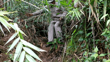 
北京儿研所黄牛代挂号电话票贩子号贩子网上预约挂号,住院检查加快,微视频｜守护生态宝库