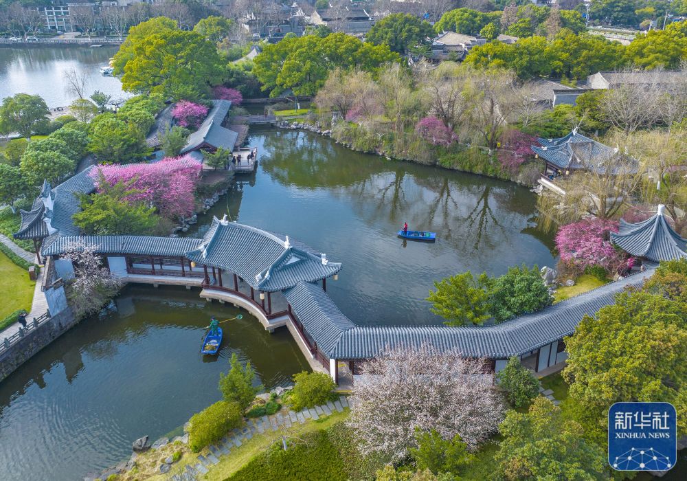 
杭州各大医院黄牛代挂号电话票贩子号贩子网上预约挂号,住院检查加快,不负春光好时景