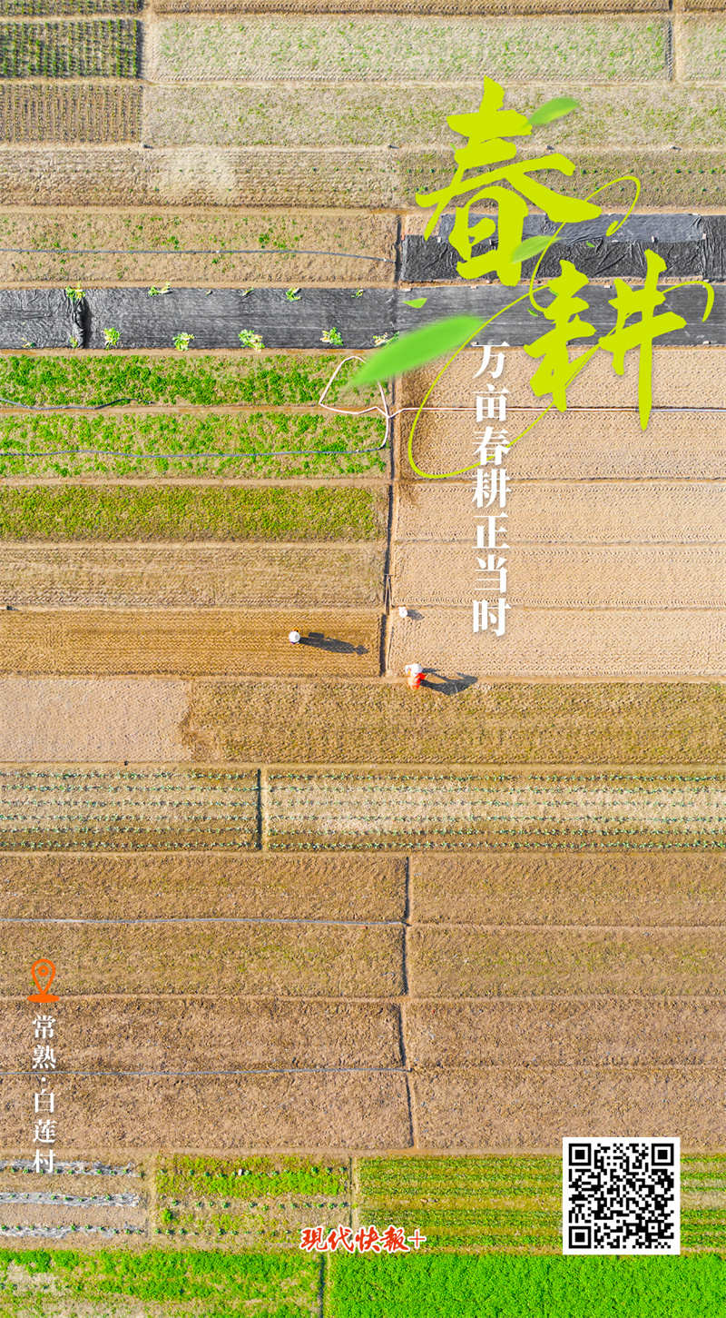 
杭州市三医院黄牛代挂号电话票贩子号贩子网上预约挂号,住院检查加快,奋进的春天 | 大江苏按下春耕“启动键”