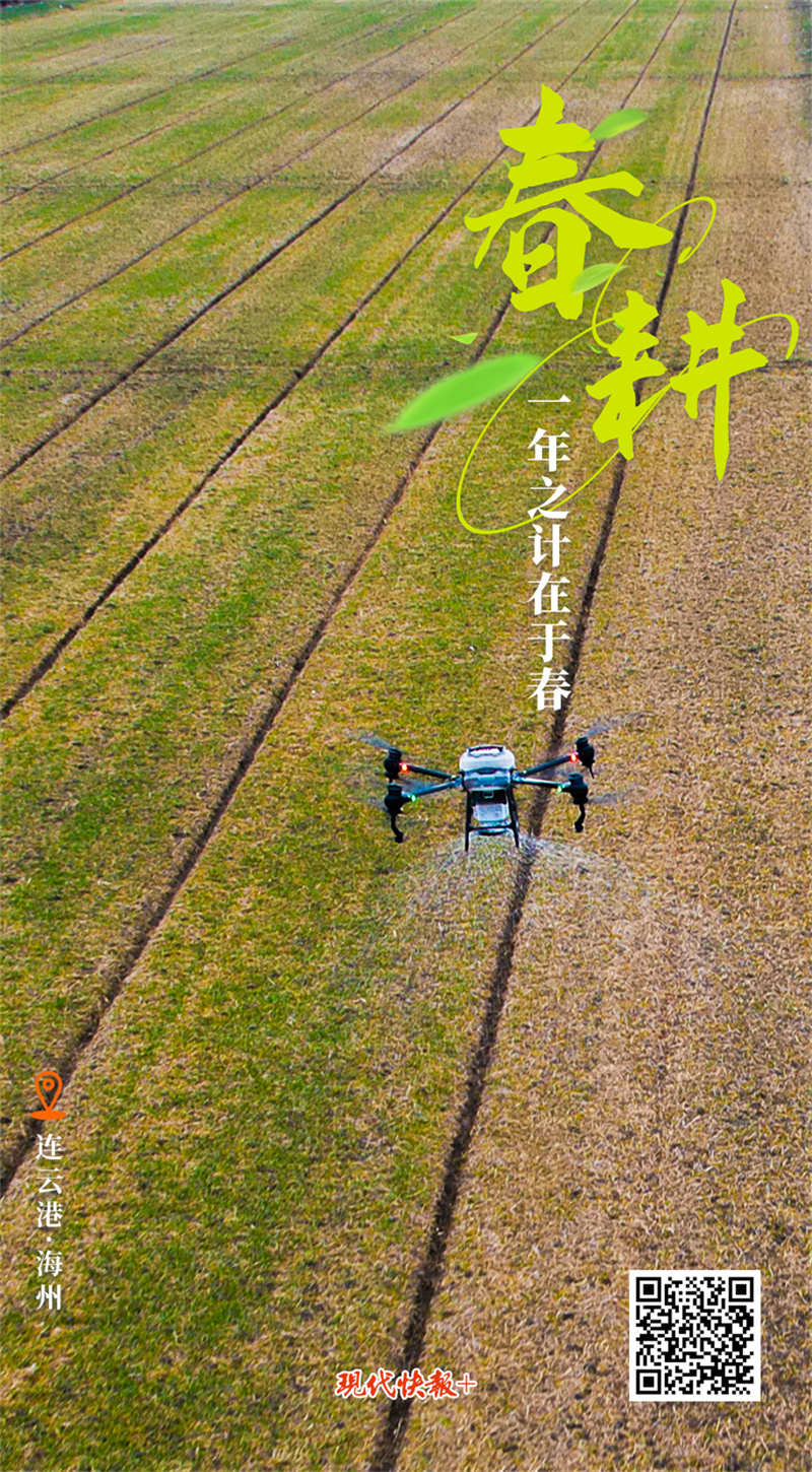 
杭州市三医院黄牛代挂号电话票贩子号贩子网上预约挂号,住院检查加快,奋进的春天 | 大江苏按下春耕“启动键”