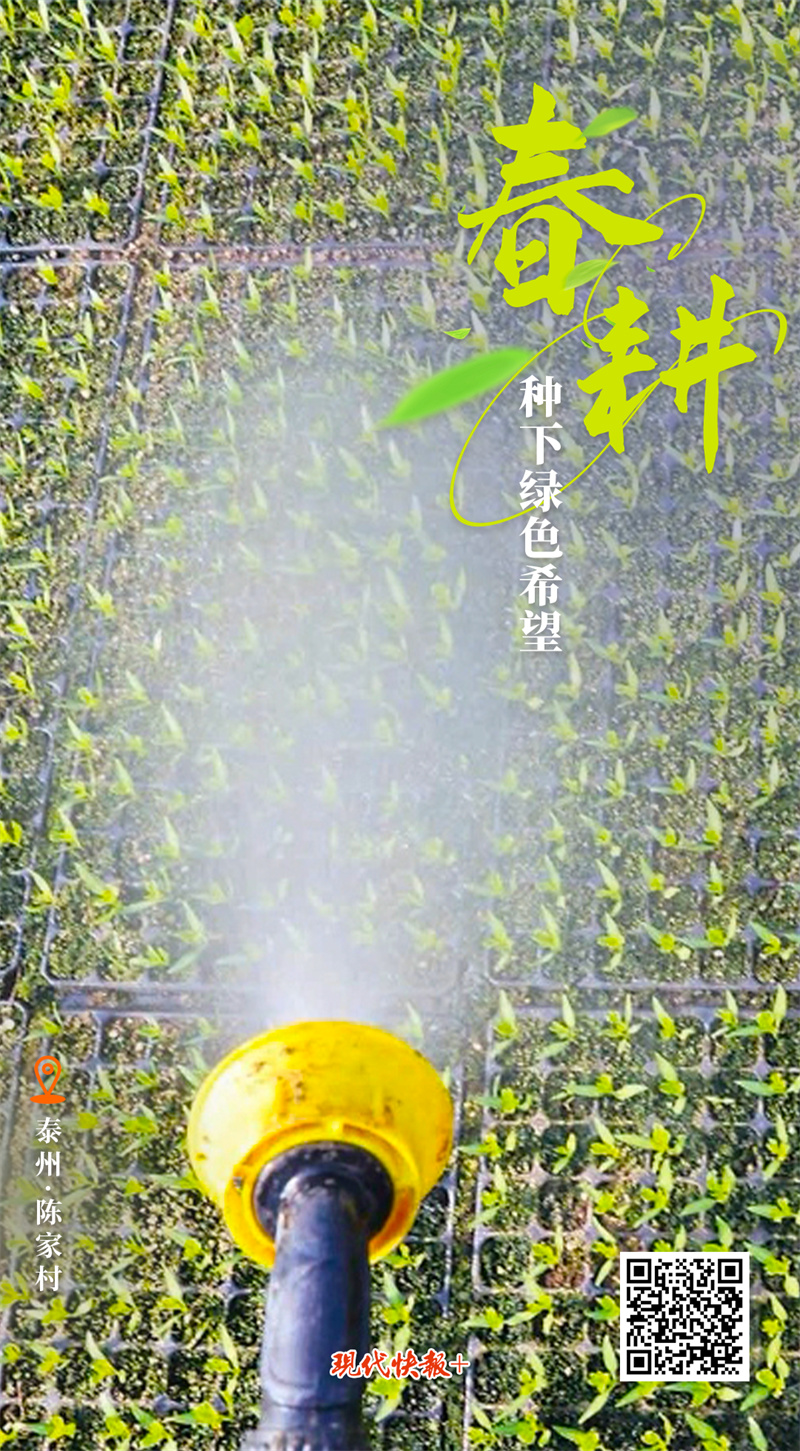 
杭州市三医院黄牛代挂号电话票贩子号贩子网上预约挂号,住院检查加快,奋进的春天 | 大江苏按下春耕“启动键”