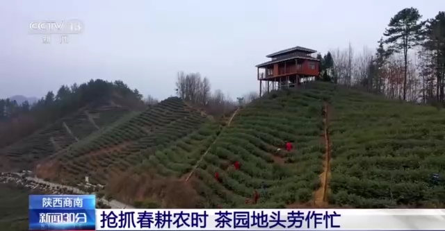 
杭州各大医院黄牛代挂号电话票贩子号贩子网上预约挂号,住院检查加快,开闸放水保春灌、采用施播一体机……春耕关键时期各地抢抓农时保生产