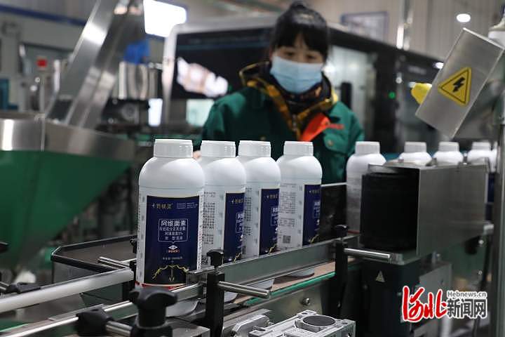 
上海各大医院黄牛代挂号电话票贩子号贩子网上预约挂号,住院检查加快,【奋进的春天】开春即开跑！河北这波重点项目“集结号”有何看点