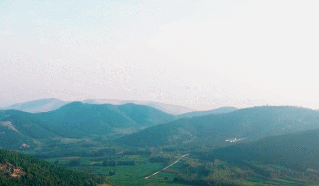 
北京广安门中医院黄牛代挂号电话票贩子号贩子网上预约挂号,住院检查加快,记·鲁 | 一山、两创、“三孔”地，欢迎四方文明