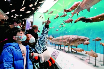 
东部战区总医院黄牛代挂号电话票贩子号贩子网上预约挂号,住院检查加快,博物馆游“出圈”：把文物背后的故事讲给你听