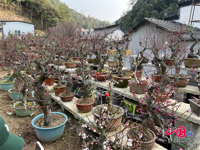
南京各大医院黄牛代挂号电话票贩子号贩子网上预约挂号,住院检查加快,【发现最美 你评我论】来传统村落与古人对话 感受中国农耕文明的底蕴与魅力