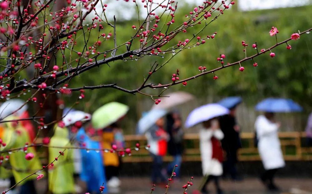 
广州市第一人民医院黄牛代挂号电话票贩子号贩子网上预约挂号,住院检查加快,今日雨水！