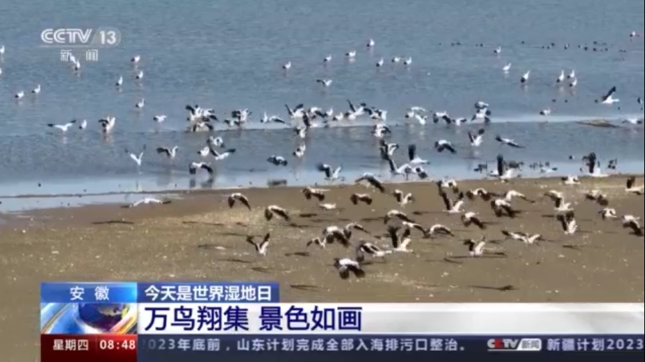 
南京市中医院黄牛代挂号电话票贩子号贩子网上预约挂号,住院检查加快,我国现有湿地面积约5635万公顷 是全球湿地类型最齐全的国家之一