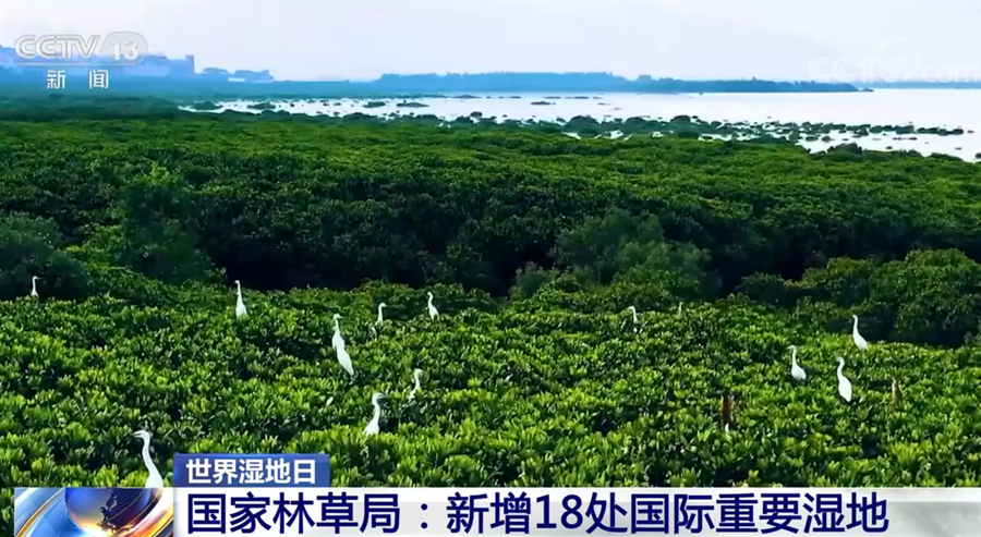
空军特色医学中心黄牛代挂号电话票贩子号贩子网上预约挂号,住院检查加快,我国湿地保护取得明显成效