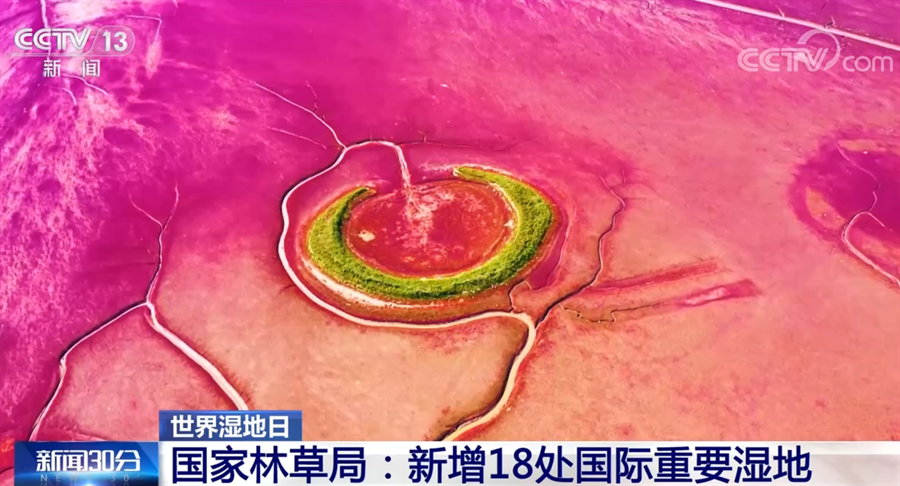 
空军特色医学中心黄牛代挂号电话票贩子号贩子网上预约挂号,住院检查加快,我国湿地保护取得明显成效