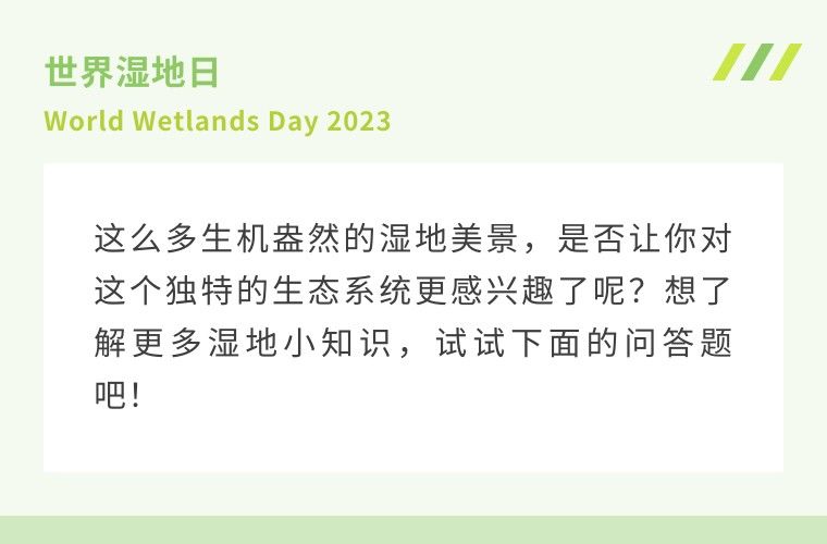 
首都医科大学附属北京口腔医院黄牛代挂号电话票贩子号贩子网上预约挂号,住院检查加快,新华全媒+丨今天，让我们与美丽多彩的湿地结缘