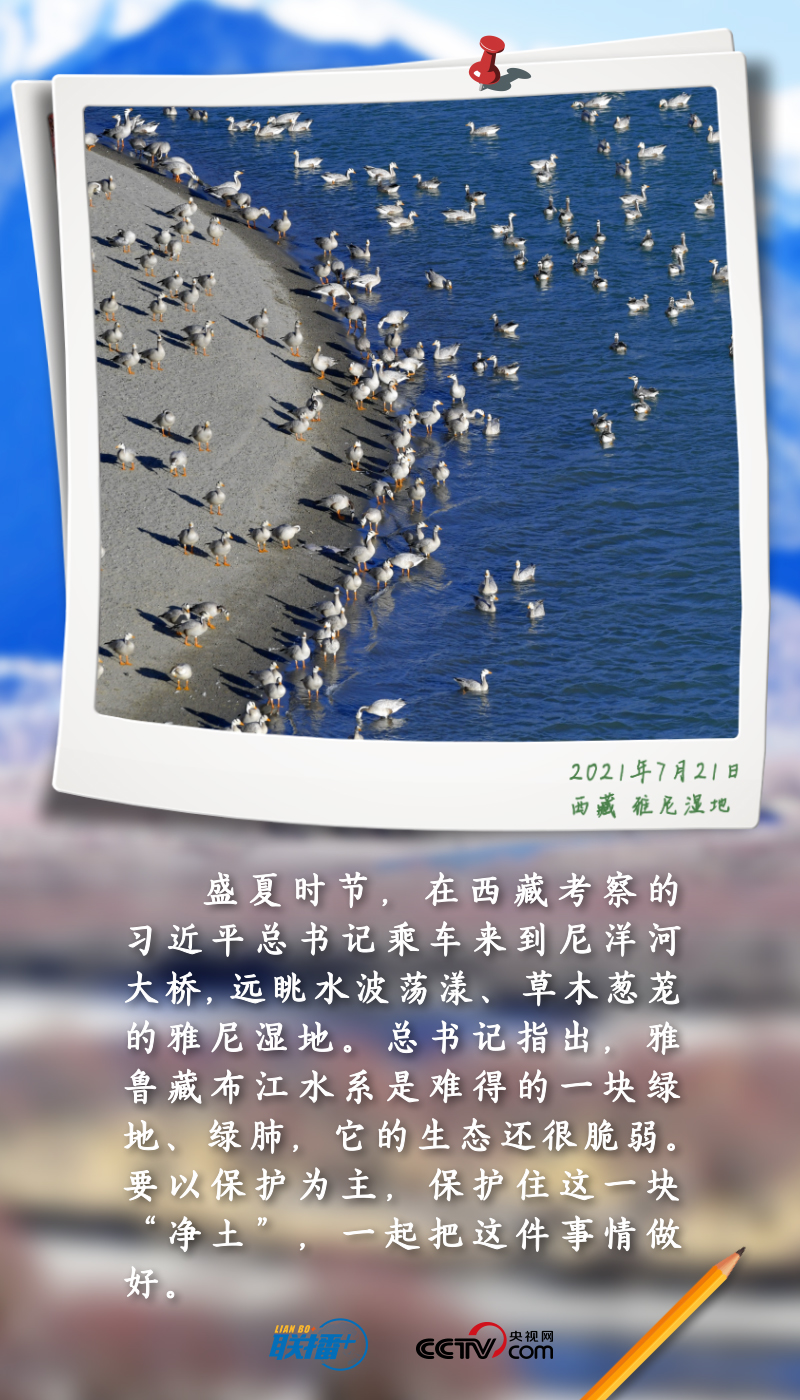 
东部战区总医院黄牛代挂号电话票贩子号贩子网上预约挂号,住院检查加快,联播+丨跟着总书记守护“地球之肾”