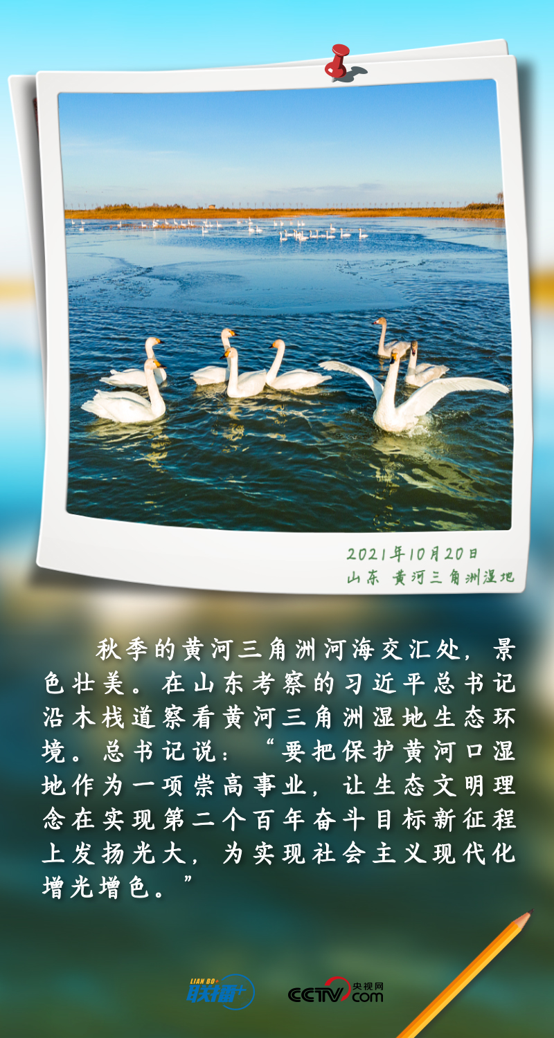 
东部战区总医院黄牛代挂号电话票贩子号贩子网上预约挂号,住院检查加快,联播+丨跟着总书记守护“地球之肾”