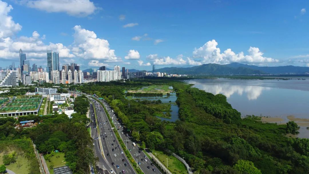 
上海肺科医院黄牛代挂号电话票贩子号贩子网上预约挂号,住院检查加快,【世界湿地日】公益守护，书写万物和谐共生故事