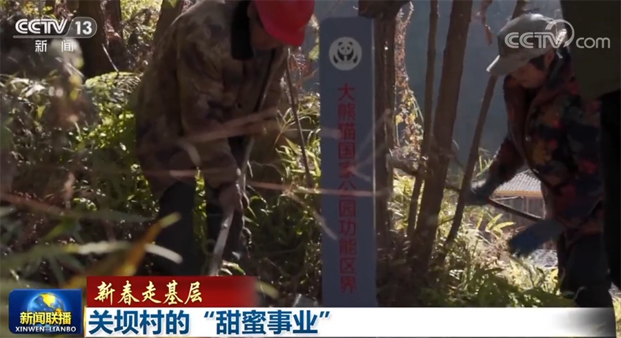 
北京人民医院黄牛代挂号电话票贩子号贩子网上预约挂号,住院检查加快,新春走基层丨关坝村的“甜蜜事业”