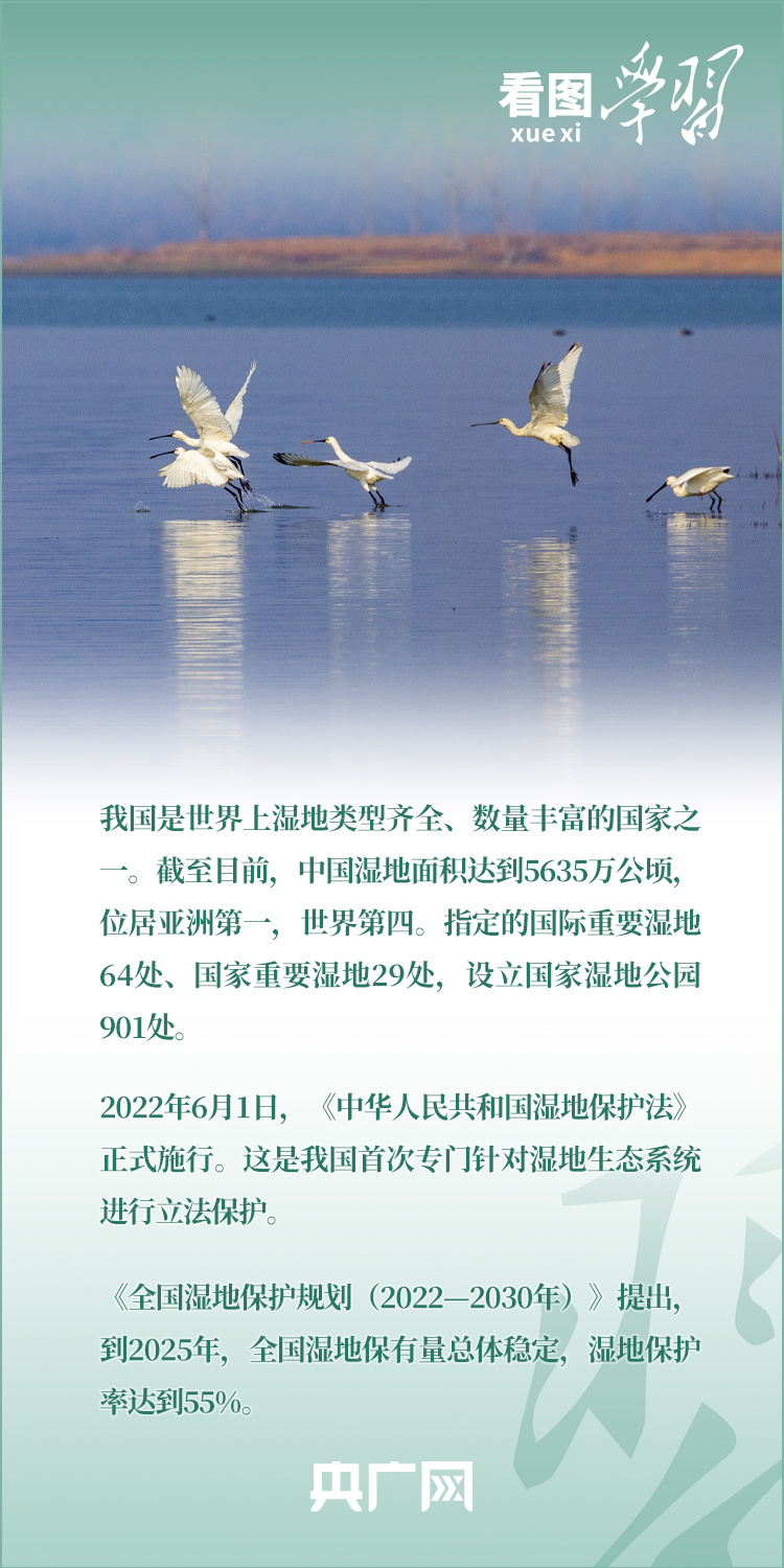 
天津眼科医院黄牛代挂号电话票贩子号贩子网上预约挂号,住院检查加快,看图学习丨为子孙后代留下大美湿地