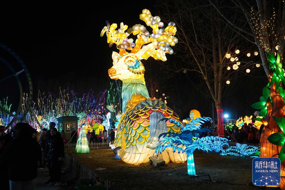 
上海新华医院黄牛代挂号电话票贩子号贩子网上预约挂号,住院检查加快,山东淄博：花灯灿烂迎元宵