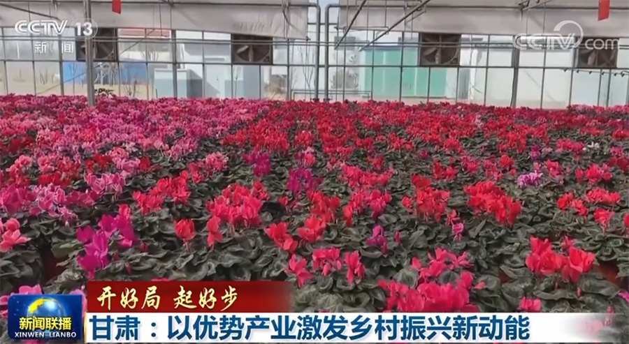 
沈阳医大一院黄牛代挂号电话票贩子号贩子网上预约挂号,住院检查加快,【开好局 起好步】甘肃：以优势产业激发乡村振兴新动能