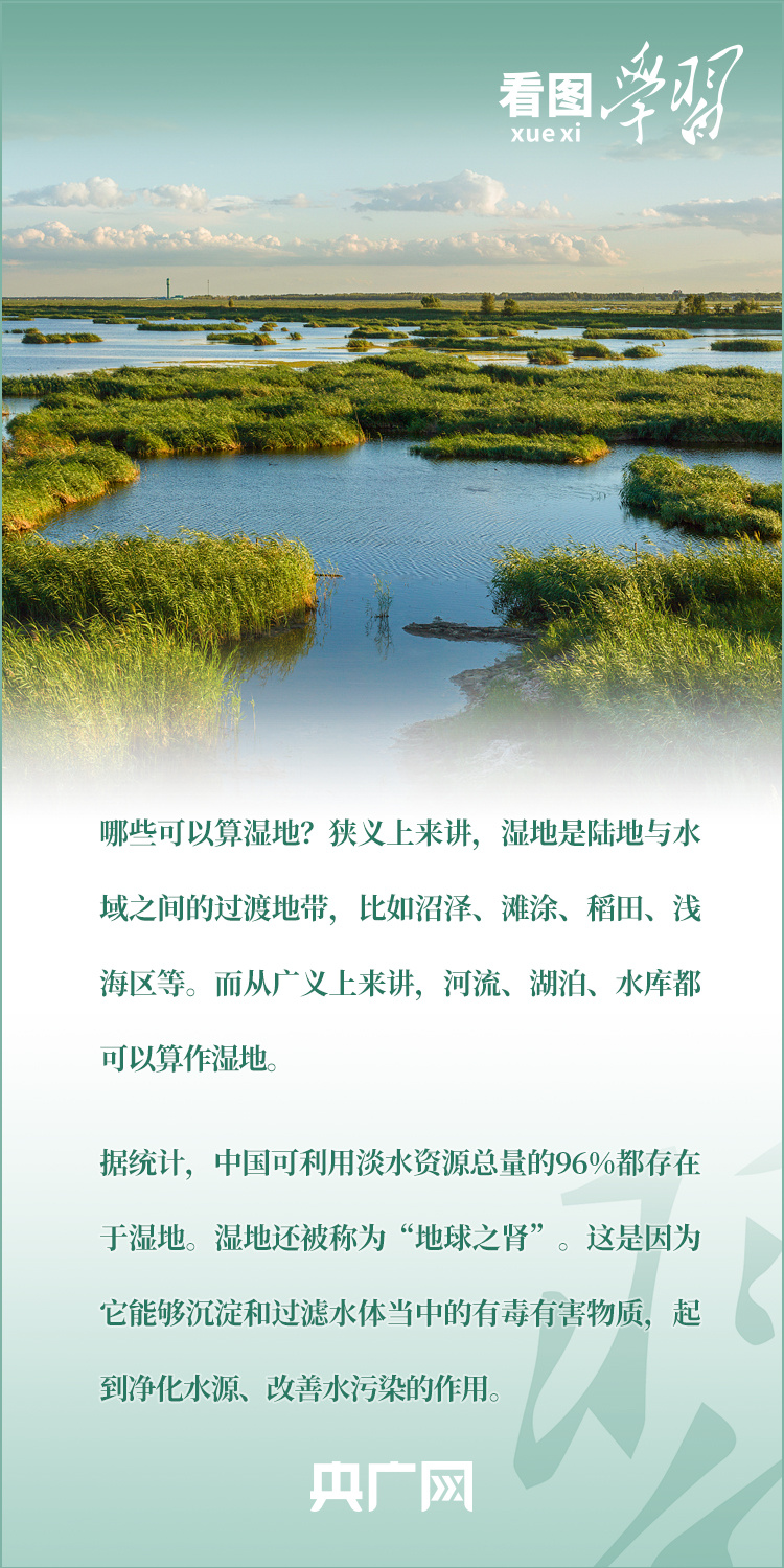 
天津眼科医院黄牛代挂号电话票贩子号贩子网上预约挂号,住院检查加快,看图学习丨为子孙后代留下大美湿地