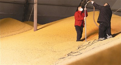 
浙江口腔医院黄牛代挂号电话票贩子号贩子网上预约挂号,住院检查加快,大豆迎“三增”，拎稳“油瓶子”