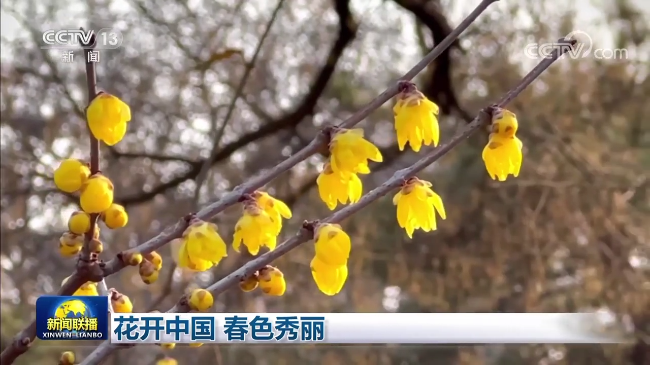 
北大口腔医院黄牛代挂号电话票贩子号贩子网上预约挂号,住院检查加快,花开中国 春色秀丽