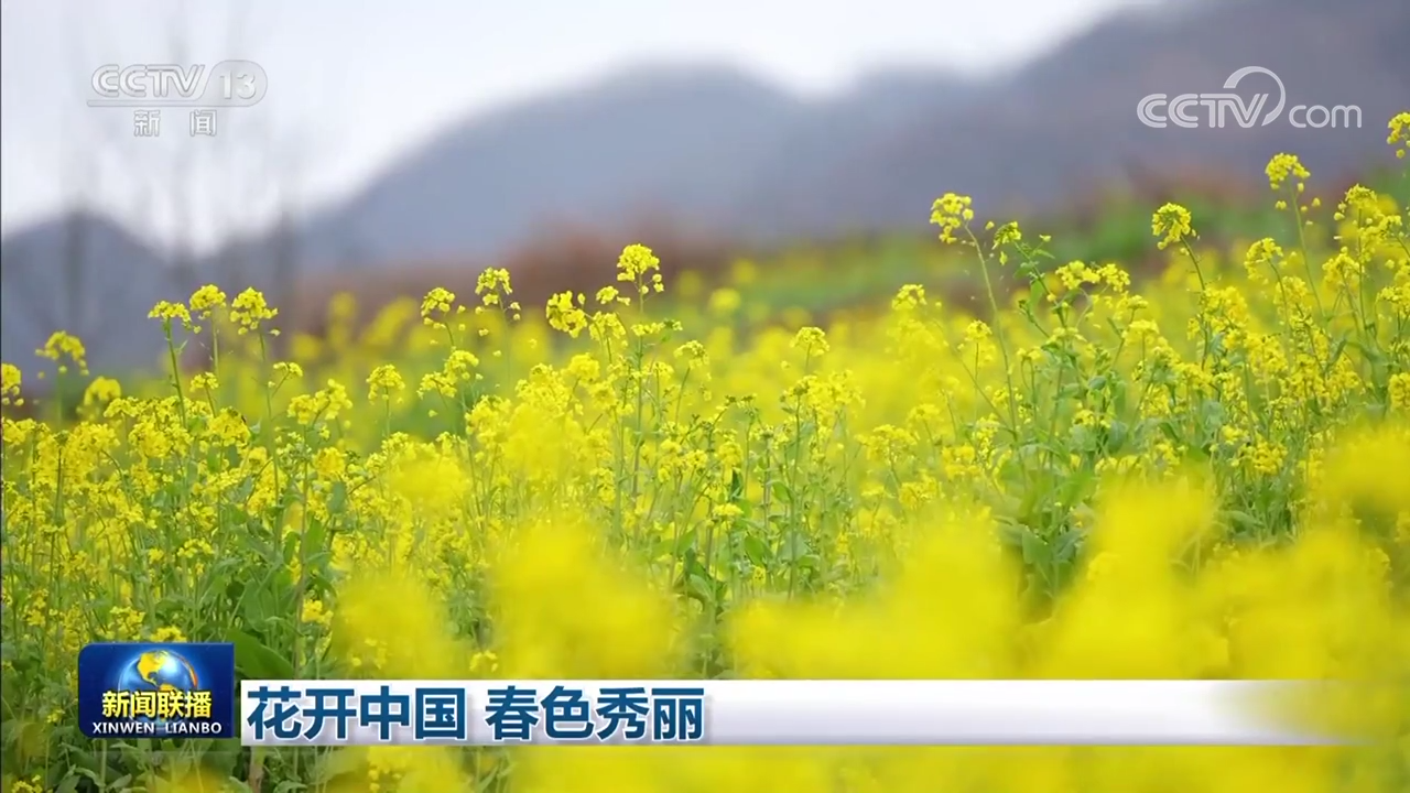 
北大口腔医院黄牛代挂号电话票贩子号贩子网上预约挂号,住院检查加快,花开中国 春色秀丽