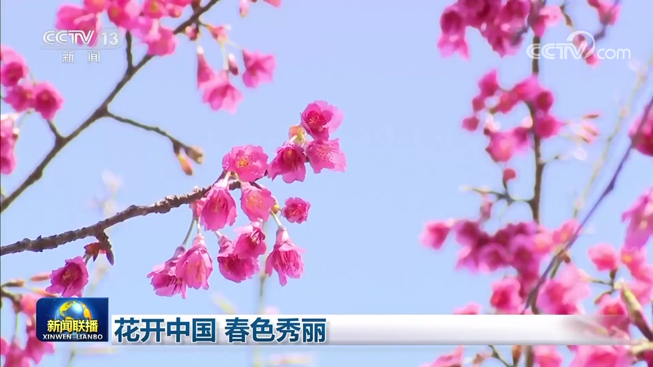 
北大口腔医院黄牛代挂号电话票贩子号贩子网上预约挂号,住院检查加快,花开中国 春色秀丽