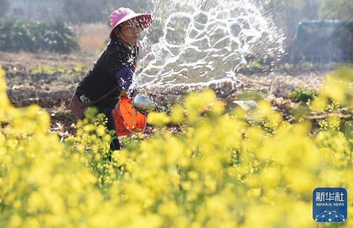 
长春吉大二院黄牛代挂号电话票贩子号贩子网上预约挂号,住院检查加快,雨水农忙