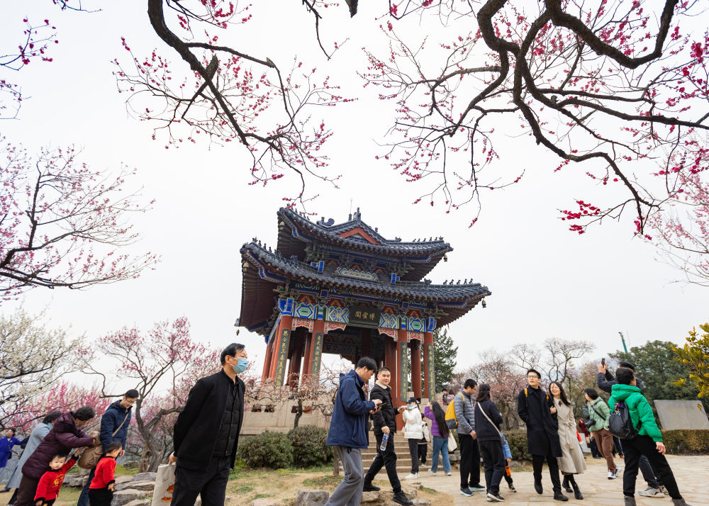 
北京协和医院黄牛代挂号电话票贩子号贩子网上预约挂号,住院检查加快,踏青赏花 乐享春光