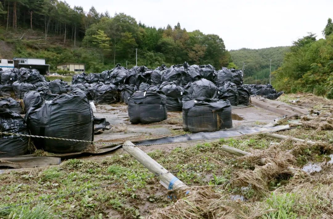 
广州市第一人民医院黄牛代挂号电话票贩子号贩子网上预约挂号,住院检查加快,朝阳少侠：日本执意加快推进核污染水排海，肚子里装的什么坏水？
