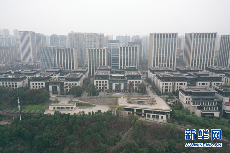 
浙江第一医院黄牛代挂号电话票贩子号贩子网上预约挂号,住院检查加快,【走进区域看发展】重庆渝中：全方位服务矩阵“引凤长栖”