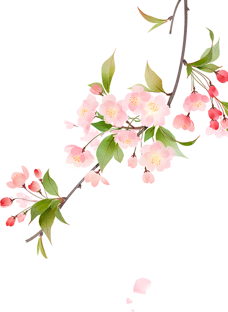 
北京中日友好医院黄牛代挂号电话票贩子号贩子网上预约挂号,住院检查加快,奋进的春天｜数说“楚天春风劲”