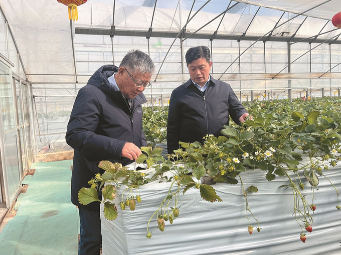 
代挂姜玉武的号黄牛代挂号电话票贩子号贩子网上预约挂号,住院检查加快,牢记总书记重要嘱托！江苏建设“三个体系”，持续增收富民