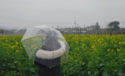 
成都华西医院黄牛代挂号电话票贩子号贩子网上预约挂号,住院检查加快,走进区域看发展丨璧山七塘镇将军村：老屋有新意