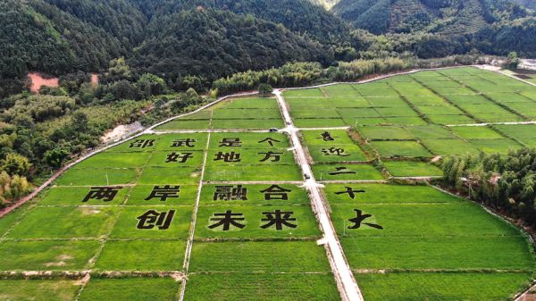 
北京积水潭医院黄牛代挂号电话票贩子号贩子网上预约挂号,住院检查加快,人民论坛调研组：绿水青山间的邵武“是个好地方”