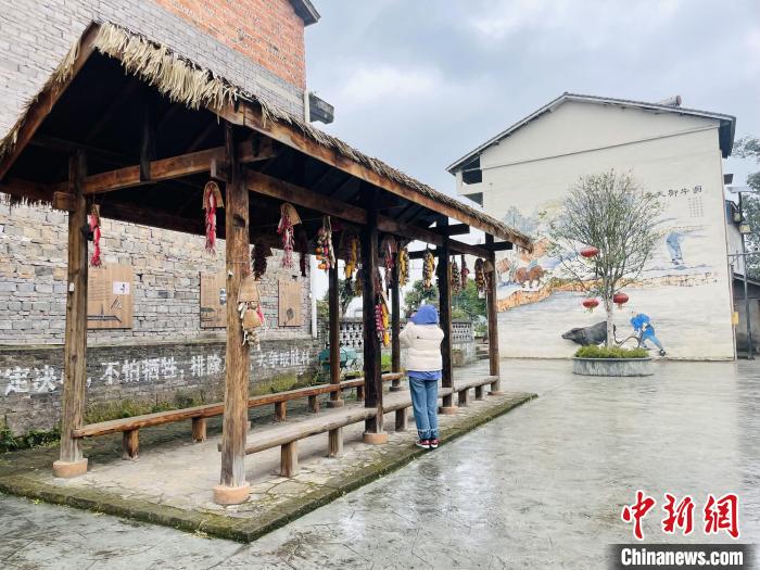 
首都医科大学附属北京中医院黄牛代挂号电话票贩子号贩子网上预约挂号,住院检查加快,【走进区域看发展】重庆璧山：农文旅融合 激活乡村振兴“一池春水”