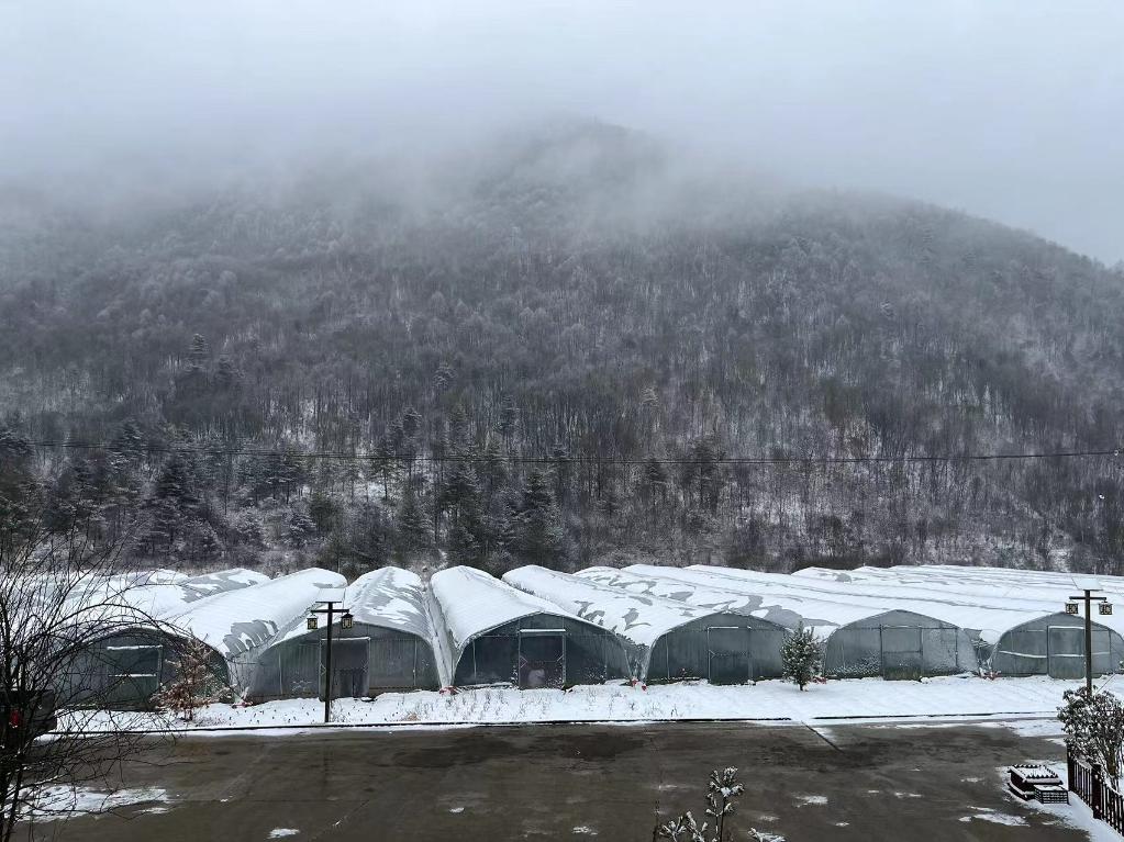
西安西京医院黄牛代挂号电话票贩子号贩子网上预约挂号,住院检查加快,重庆方斗村：“原始”村落展新颜
