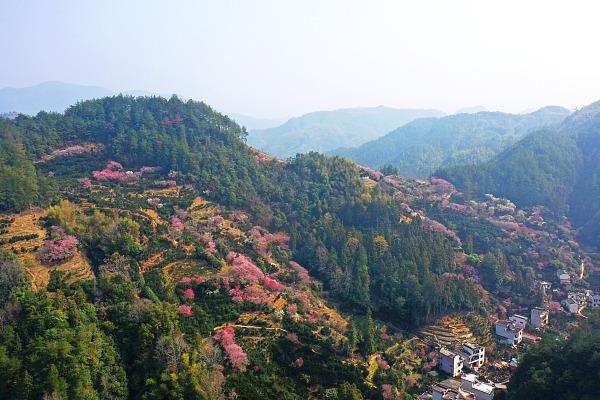 
浙江省同德医院黄牛代挂号电话票贩子号贩子网上预约挂号,住院检查加快,生机勃勃的春之旅从这里开始