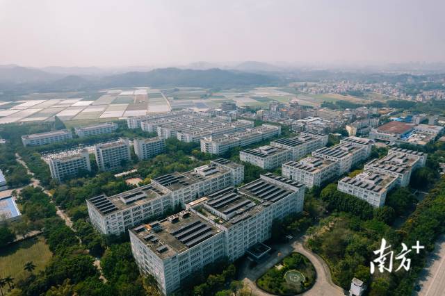 
浙江中医药第二医院黄牛代挂号电话票贩子号贩子网上预约挂号,住院检查加快,企业与城市共成长！惠州渐成港澳企业投资福地