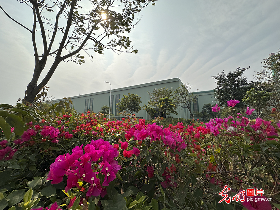 
广州医科大学附属第二医院黄牛代挂号电话票贩子号贩子网上预约挂号,住院检查加快,【高质量发展看中国】“绿色花园工厂”领跑低碳高质量发展