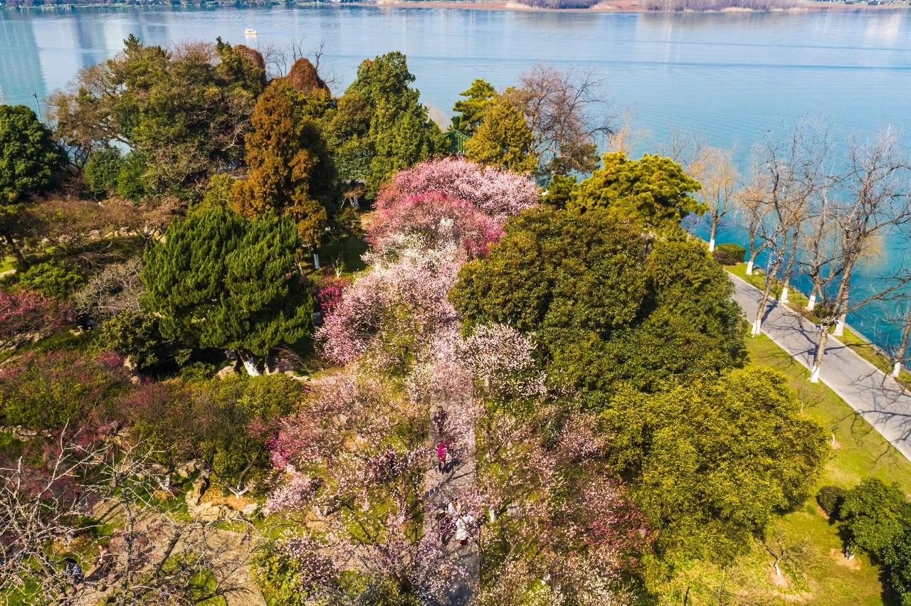 
沈阳医大二院黄牛代挂号电话票贩子号贩子网上预约挂号,住院检查加快,不负好春光！江苏文旅市场再现蓬勃活力