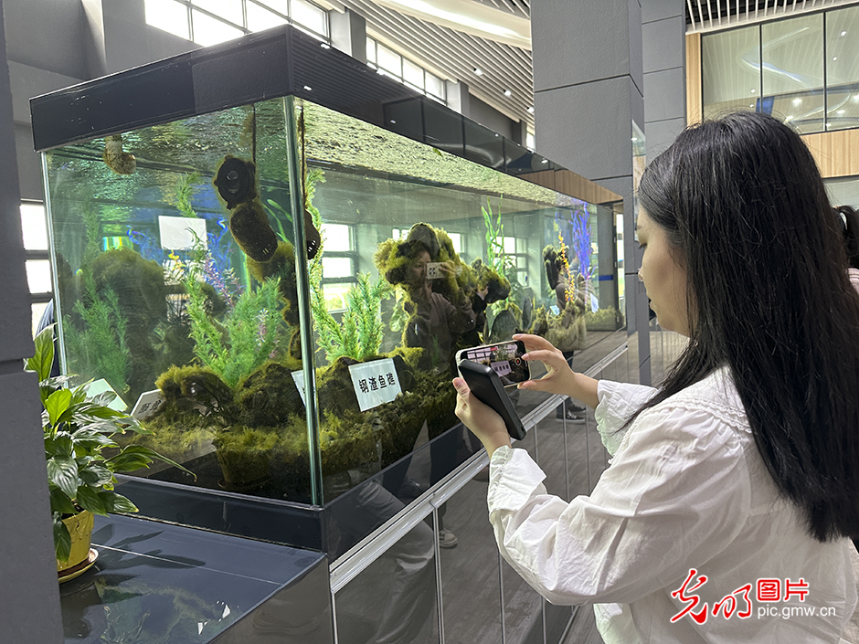 
广州医科大学附属第二医院黄牛代挂号电话票贩子号贩子网上预约挂号,住院检查加快,【高质量发展看中国】“绿色花园工厂”领跑低碳高质量发展