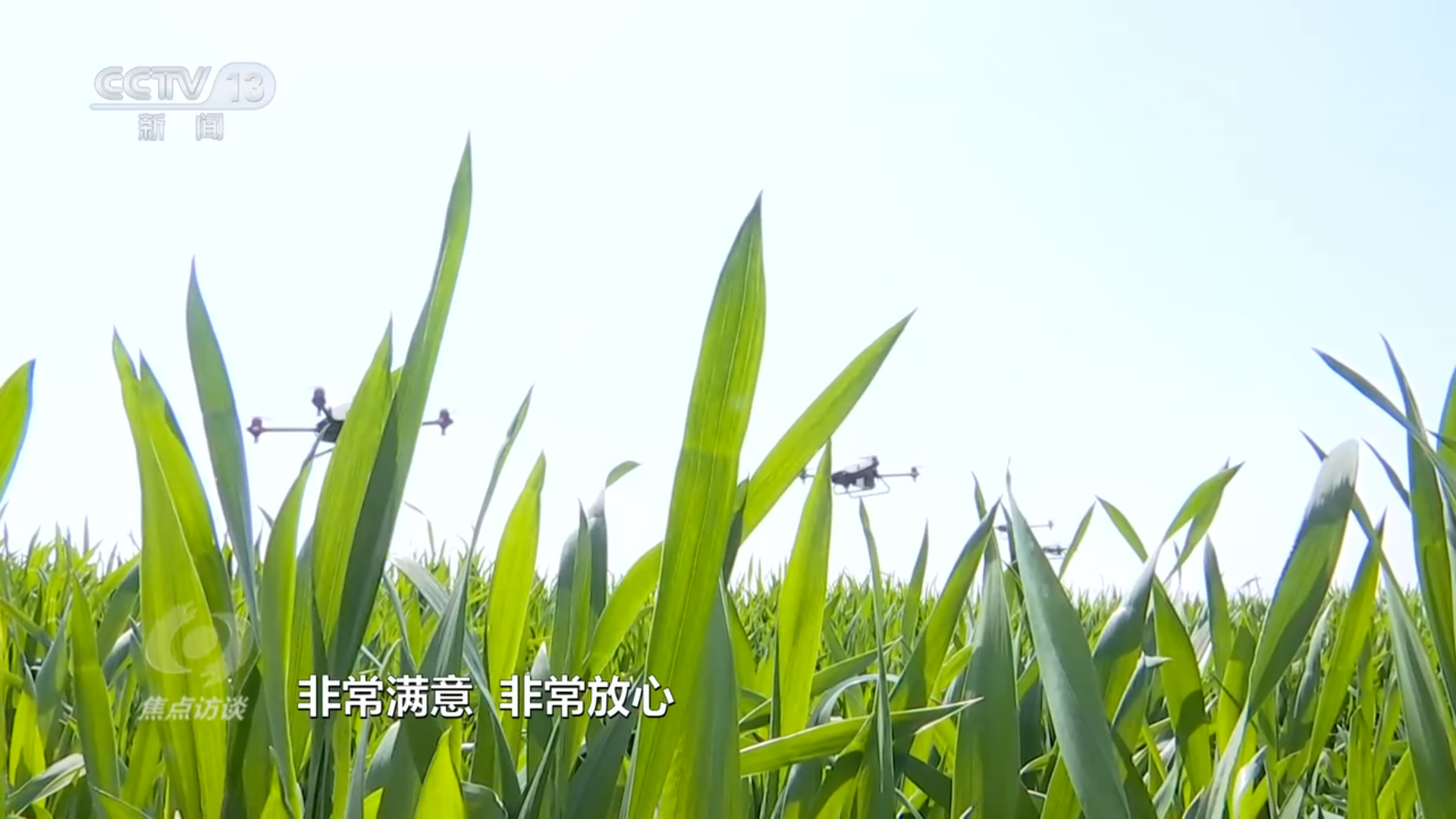 
江苏省第二中医院黄牛代挂号电话票贩子号贩子网上预约挂号,住院检查加快,焦点访谈：人勤春来早 万象“耕”新正当时