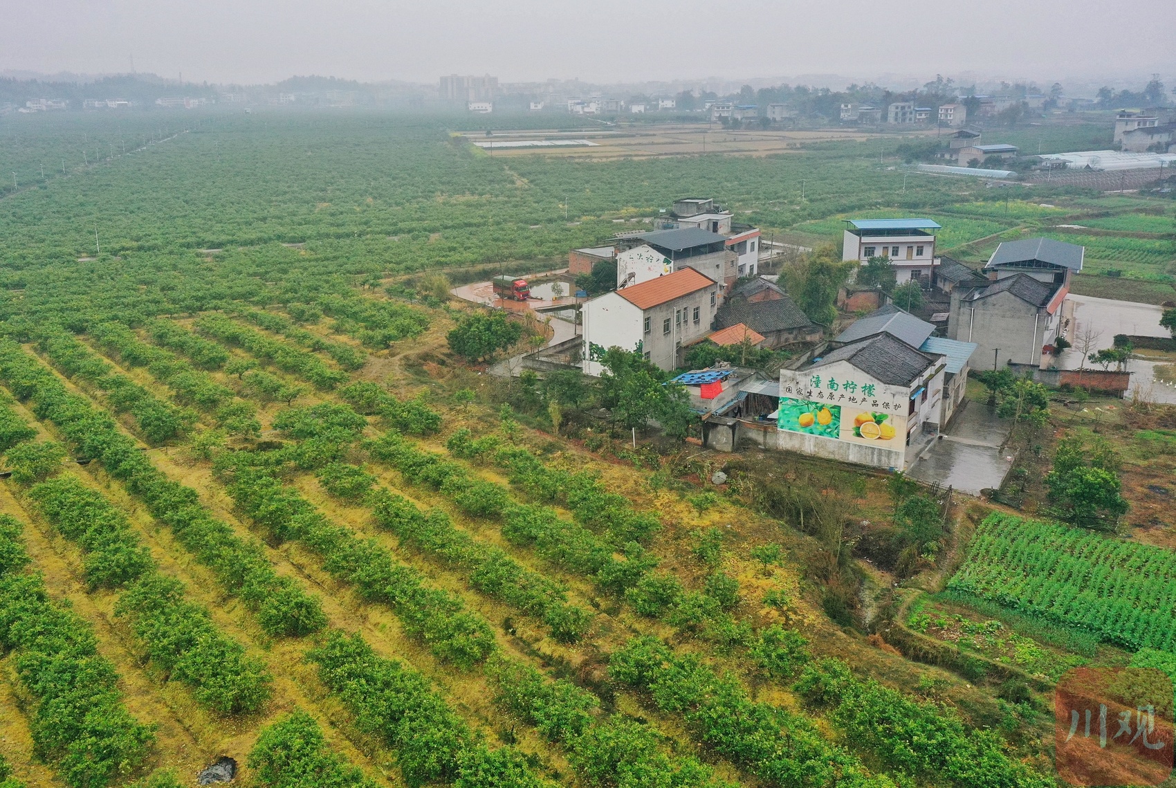 
北医六院黄牛代挂号电话票贩子号贩子网上预约挂号,住院检查加快,走进区域看发展｜C视频⑥ 探访潼南柠檬精深加工生产线 如何将一个柠檬“吃干榨净”