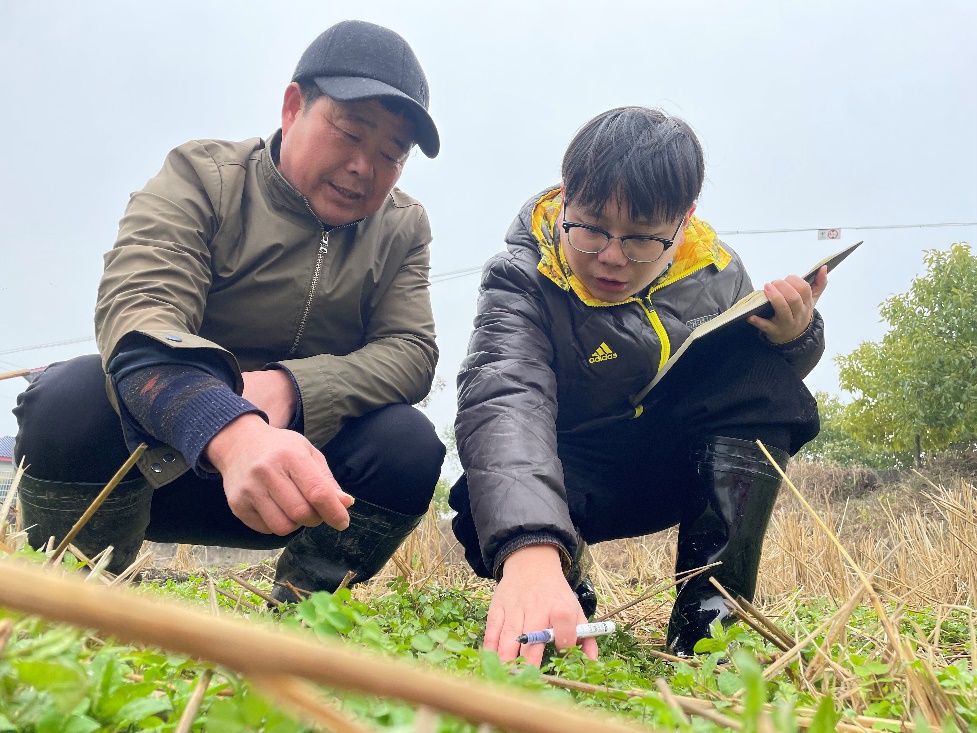 
杭州中医院黄牛代挂号电话票贩子号贩子网上预约挂号,住院检查加快,奋进的春天|保供稳价接续发力 释放经济回稳向好积极信号
