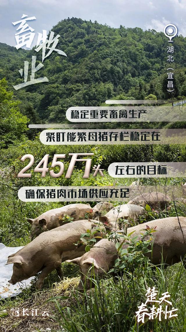 
中山二院黄牛代挂号电话票贩子号贩子网上预约挂号,住院检查加快,奋进的春天｜数说“楚天春耕忙”